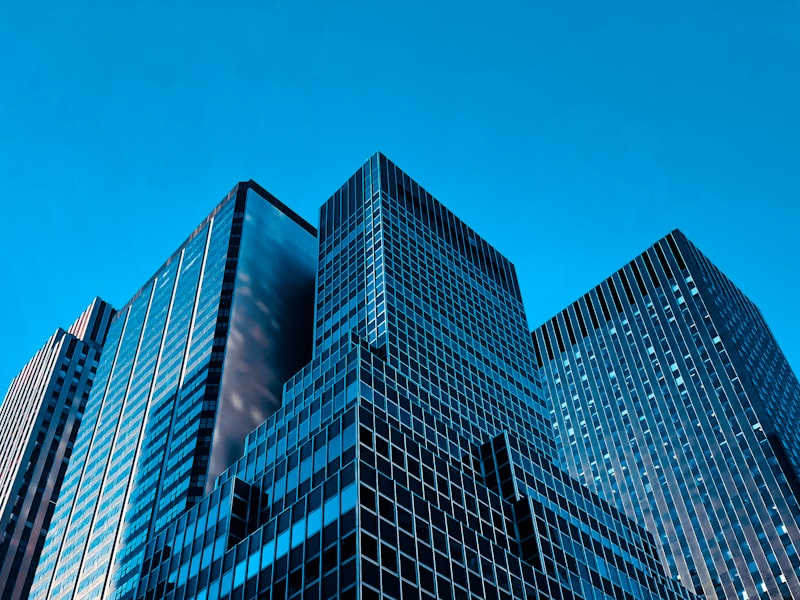 Professional achievement and success